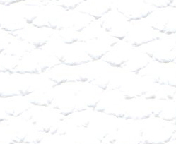 atlantic-501-optical-white.jpg